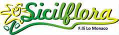sicilflora vittoria